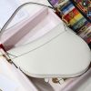 1607302445563724.jpg M0446 Dior Saddl手掌纹手提包 Dior马鞍包 白色