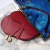 1607303409159733.jpg M0446 Dior Saddle手掌纹手提包 Dior马鞍包 红色