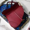 1607303409572635.jpg M0446 Dior Saddle手掌纹手提包 Dior马鞍包 红色