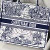 1607997625128292.jpg M1286 Dior Book Tote 大号手袋 Dior Around The World 刺绣 蓝色
