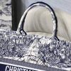 1607997626563479.jpg M1286 Dior Book Tote 大号手袋 Dior Around The World 刺绣 蓝色