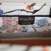 M1296 Dior Book Tote 小号手袋 多色Rosa Mutabilis 刺绣