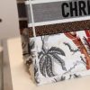 M1296 Dior Book Tote 小号手袋 白色迷彩配多色花卉刺绣