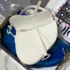 1608091115395186.jpg M0446 Dior Saddle哑光牛皮革手袋 迪奥官网女包马鞍包 奶白色