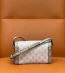 699296 Gucci Gucci马衔扣1955系列迷你手袋 Gucci迷你斜挎包 白色