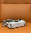 699296 Gucci Gucci马衔扣1955系列迷你手袋 Gucci迷你斜挎包 白色