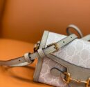 699296 Gucci Gucci马衔扣1955系列迷你手袋 Gucci迷你斜挎包 白色