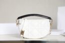 M7200 迪奥 VIBE HOBO 手袋小号 羊皮藤格纹饺子包 白色
