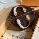 M41109 LV Speedy 25 手袋（无肩带）Monogram 涂层帆布 LV枕头包