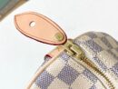 N41370 LV Speedy 30 手袋（无肩带）Damier Azur 涂层帆布 LV枕头包
