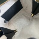 744434 古驰Gucci Blondie系列手提包 古驰2023年新款相机包 黑色