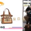 M56386 LV最新款 LV手提包 LV经典老花 LV女包 LV单肩包