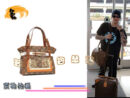 M56386 LV最新款 LV手提包 LV经典老花 LV女包 LV单肩包