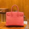 爱马仕 Birkin 铂金包 尼罗鳄鱼皮 唇膏粉 30cm