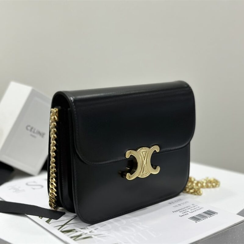 Celine*CollegeTriomphe系列手袋113583免检版 - Image 3