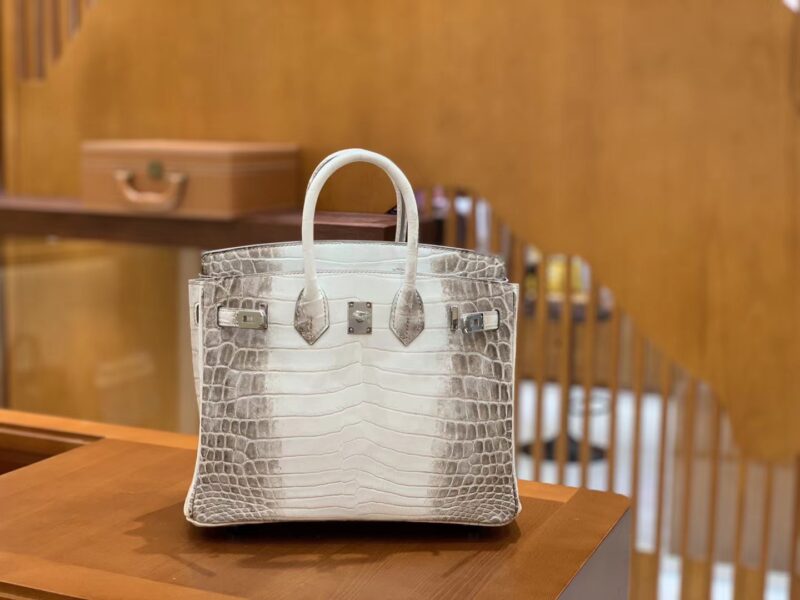 爱马仕 Birkin 25cm 喜马拉雅 一级尼罗鳄鱼皮 银扣 原版蜜蜡线 顶级手工缝制
