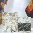 M5620 Dior Oblique女包 提花帆布 迪奥链条包 Dior手拿包 灰黑色