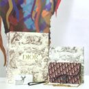 M5620 Dior Oblique女包 提花帆布 迪奥链条包 Dior手拿包 酒红色