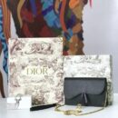 M5620 Dior Saddle系列女包 woc包型 小牛皮 迪奥链条包 Dior手拿包 黑色