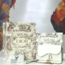 M5620 Dior Saddle系列女包 woc包型 小牛皮 迪奥链条包 Dior手拿包 白色