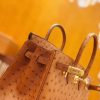 爱马仕 Birkin 25cm 鸵鸟皮 金棕色 全手工缝制 现货
