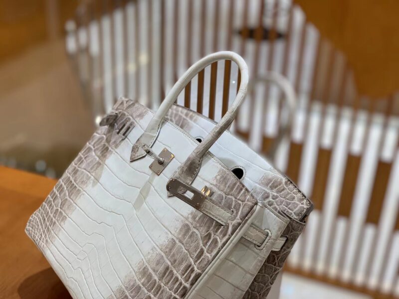爱马仕 Birkin 25cm 喜马拉雅 一级尼罗鳄鱼皮 银扣 原版蜜蜡线 顶级手工缝制 - Image 5