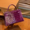 爱马仕 迷你2代 19cm 葡萄紫 一级美洲 鳄鱼皮 顶级手工 金扣