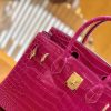 爱马仕 Birkin 30cm 天方夜谭紫 金扣 一级皮 尼罗鳄鱼皮 臻品级别