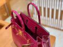 爱马仕 Birkin 30cm 天方夜谭紫 金扣 一级皮 尼罗鳄鱼皮 臻品级别