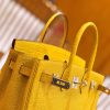 爱马仕 Birkin 25cm 琥珀黄 银扣 尼罗鳄鱼皮拼Togo牛皮 原版蜜蜡线 现货
