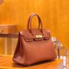 爱马仕 Birkin 30cm 焦糖棕 尼罗鳄鱼皮 金扣 原版蜜蜡线 顶级手缝 现货