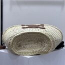 Celine*Teen系列提篮包113832中号免检版