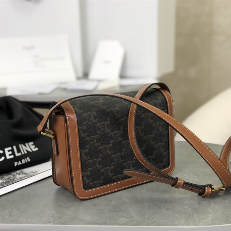 Celine*TriompheBox系列手袋188882免检版 - Image 6