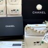 Chanel 2021春夏新款small hobo bag流浪包 AS2479白色