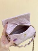 Chanel 2021春夏新款small hobo bag流浪包 AS2479粉色