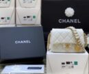 Chanel 2021早秋高级手工坊系列方胖子纪念版金币包 AS2528