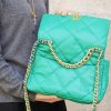IMG_136720210226-160926.jpg Chanel香奈儿 19 Flap Bag AS1161中号30CM绿色