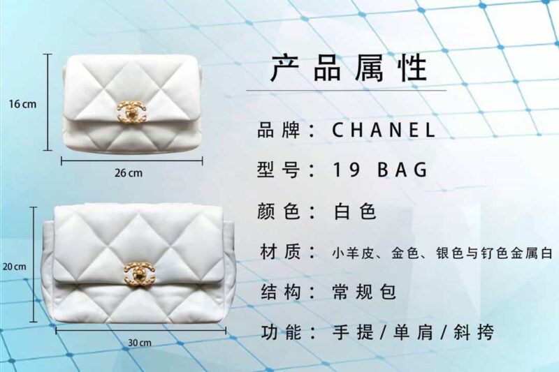 Chanel香奈儿 19 Flap Bag AS1161中号30CM白色 - Image 2