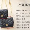 Chanel香奈儿 2020秋冬复古金币链条口盖包 小号