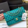 IMG_485420220212-152756.jpg Chanel香奈儿 CF25 Classic flap bag A01112宝石绿牛皮金扣