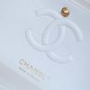 Chanel CF23 Classic flap bag A01113纯白