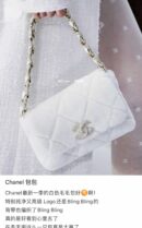 Chanel香奈儿 双C双面剪毛水钻小羊皮口盖包AS2240 B04623 10601