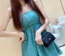 Chanel Mini woc经典款之Wallet on chain单肩斜挎链条包 AP1649