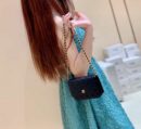 Chanel Mini woc经典款之Wallet on chain单肩斜挎链条包 AP1649