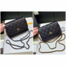 Chanel Mini woc经典款之Wallet on chain单肩斜挎链条包 AP1649