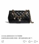 Chanel 2021年春夏度假新款镂空山茶花CF20单肩斜挎包 AS2326