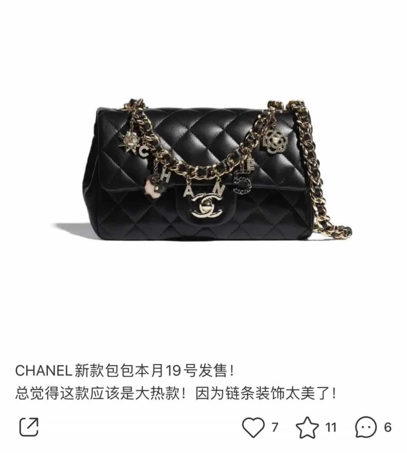 Chanel 2021年春夏度假新款镂空山茶花CF20单肩斜挎包 AS2326 - Image 2