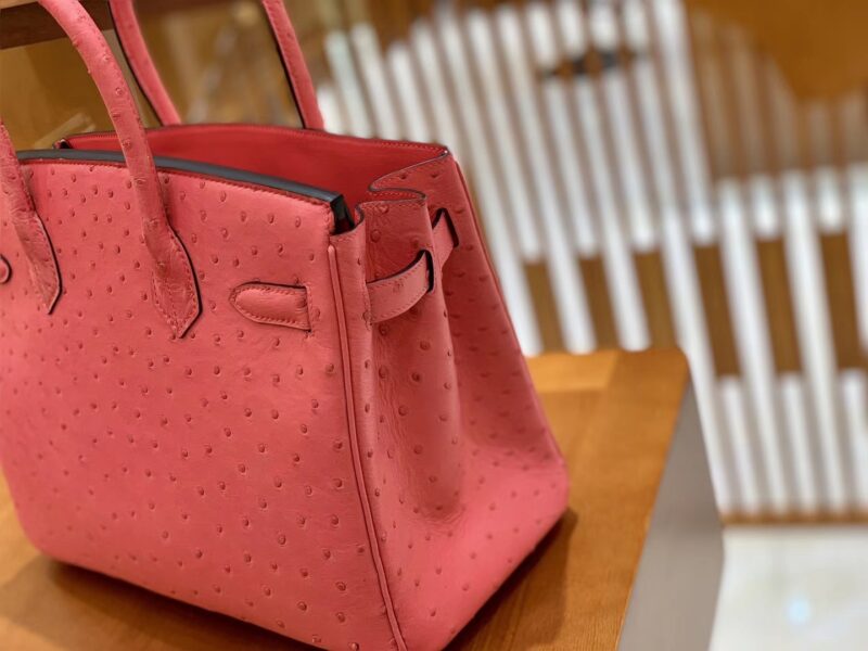 爱马仕 Birkin 铂金包 唇膏粉 鸵鸟皮 手缝工艺 银扣 30cm 现货 - Image 4