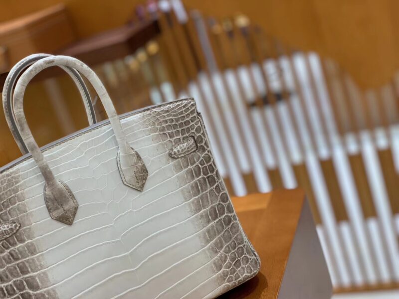 爱马仕 Birkin 25cm 喜马拉雅 一级尼罗鳄鱼皮 银扣 原版蜜蜡线 顶级手工缝制 - Image 4