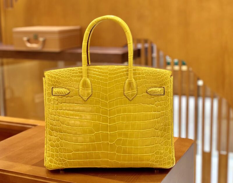 爱马仕 Birkin 铂金包 琥珀黄 一级皮 尼罗鳄鱼皮 臻品级别 金扣 30cm - Image 2